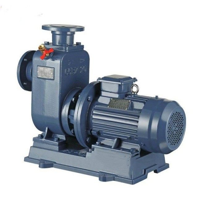 Água dobro Ring Vacuum Pump Explosion Proof da fase para a filtração do vácuo